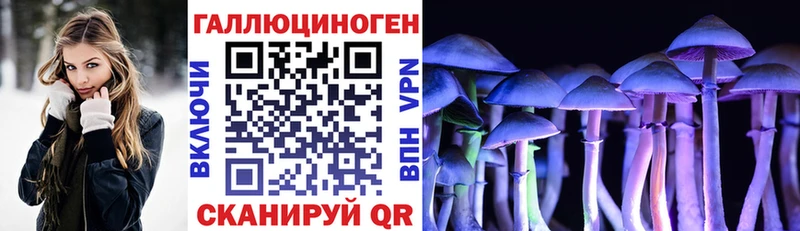Псилоцибиновые грибы Cubensis Снежинск